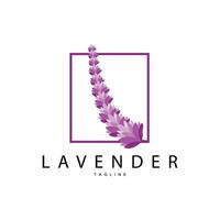 Lavender Logo, Hand Drawn Wedding Plant Design, Vector Lavender Plant Perfume Illustration Design