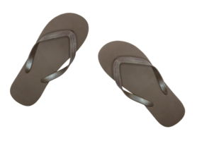 ein Nahansicht Studio Schuss von ein Paar von Flip Flops auf transparent Hintergrund png Datei