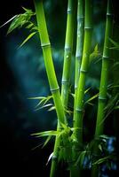 the green bamboo AI Generative photo