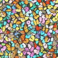 Colorful butterfly pattern ai generate photo