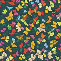 Colorful butterfly pattern ai generate photo