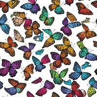 Colorful butterfly pattern ai generate photo