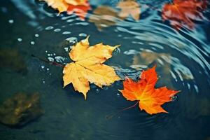 bright yellow-orange fallen maple leaves in dark blue water. Autumn natural background. autumn atmosphere image. symbol of fall season. generative ai. photo