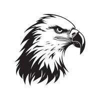 Hawk Head Image Vector, Art and Design vector