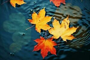 bright yellow-orange fallen maple leaves in dark blue water. Autumn natural background. autumn atmosphere image. symbol of fall season. generative ai. photo