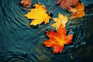 bright yellow-orange fallen maple leaves in dark blue water. Autumn natural background. autumn atmosphere image. symbol of fall season. generative ai. photo