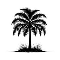 Silhouette of a palm tree on a white background. Vector illustration