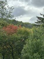 One cloudy day in early fall photo