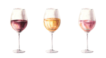 Watercolour set with drinks. Glasses with white, red and rose wine. illustration. Drinking set for winemaking adverts, wine list, bar, restaurant menu, stickers or print. png