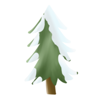 Cut out pine tree png