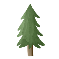 Cut out pine tree png