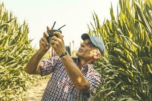 modern technological farmer analyzing the growth of corn by flying a drone over his cultivated fields photo