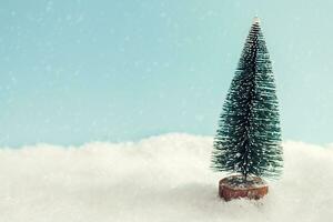 christmas tree on the snow on blue background photo