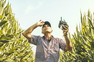 modern technological farmer analyzing the growth of corn by flying a drone over his cultivated fields photo