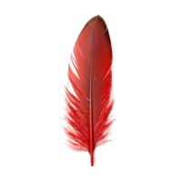 Red feather  Generative Ai png