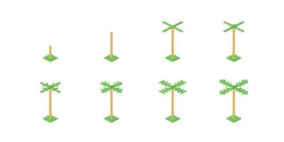 Step by step construction of a palm tree. Vector