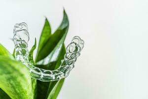 el plastico tirantes odontología retenedores para dientes enderezamiento colgando en verde hojas de interior planta foto