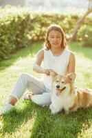 A beautiful girl takes care of her dog of the Corgi breed and combs her hair with a comb in the summer on a sunny day on the grass photo