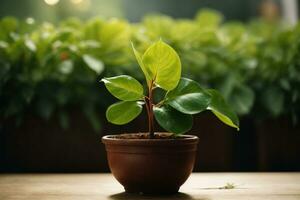 small money plant pot kept in floor. AI Generative photo