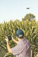 modern technological farmer analyzing the growth of corn by flying a drone photo