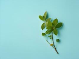 Minimal plant branch on blue background. AI Generative photo