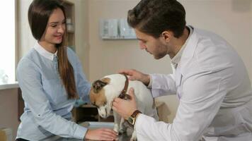 Male veterinarian queries woman about her pet video