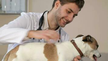 Masculin vétérinaire en portant le chien sur le vétérinaire table video