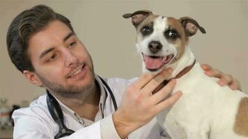 Male veterinarian looking at the dog video