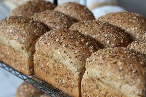 Five Grain Bread photo