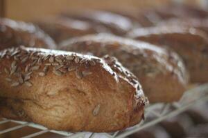 Sunflower Toast Bread photo