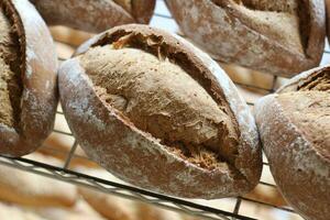 Dark Rye Bread Close Up photo