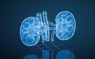 Kidney with blue technology structure, 3d rendering. photo