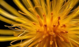 Extreme close-up of a dandelion seed head with individual seeds visible. Creating using generative AI tools photo