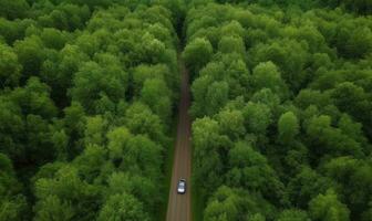 refrescante conducir mediante verde follaje de verano bosque creando utilizando generativo ai herramientas foto