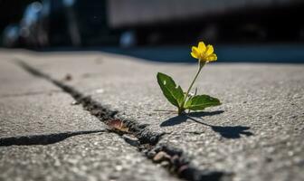 Flowers growing through the cracks of the asphalt Creating using generative AI tools photo