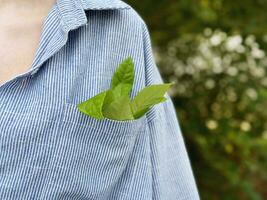 ecología concepto, mujer acuerdo un verde rama con hojas en un camisas bolsillo foto