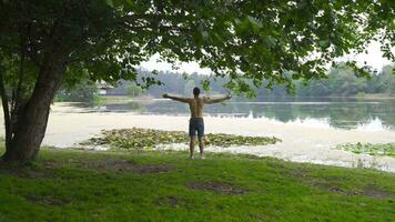 Leben gesund im das Wald. video