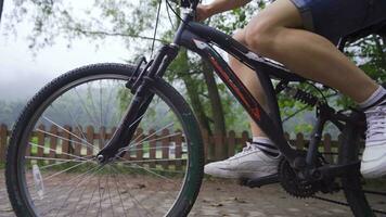 Pedaling in the forest. video