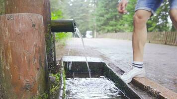 Man drinking water from mountain spring. video