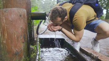 Trinken klar Wasser von das Brunnen im das Wald. video