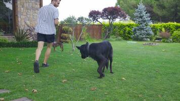jovem homem jogando com dele cachorro dentro a jardim do dele casa. video