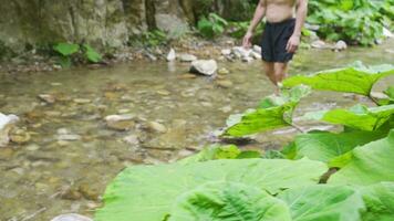 The man walking in the creek in slippers. video