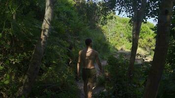 Man walking in nature looking at the sea. video