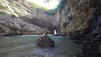 Jeune homme en vacances dans mer baie. video