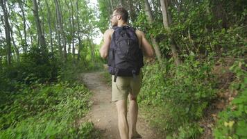 joven hombre caminando en naturaleza. video