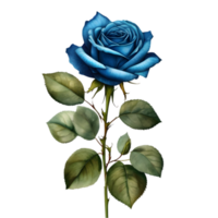 Beautiful rose painting. AI-Generated. png