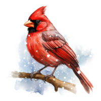 Cardinal Bird For Christmas Event. Watercolor Style. AI Generated png