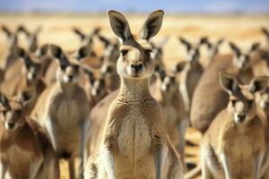 Lovely kangaroo background.AI Generated photo