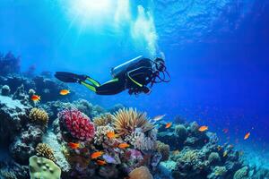 Diver swimming over a coral reef. AI Generated photo