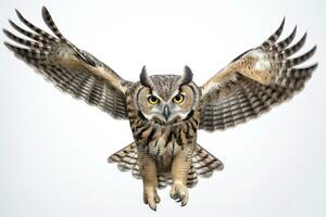 Owl isolated on white background.AI Generated photo